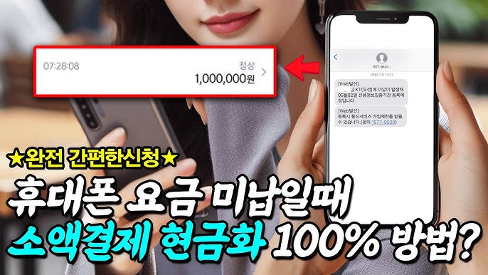 소액결제 정책